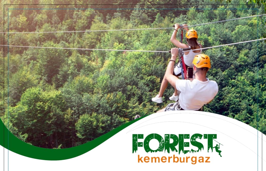 FOREST kapak görseli