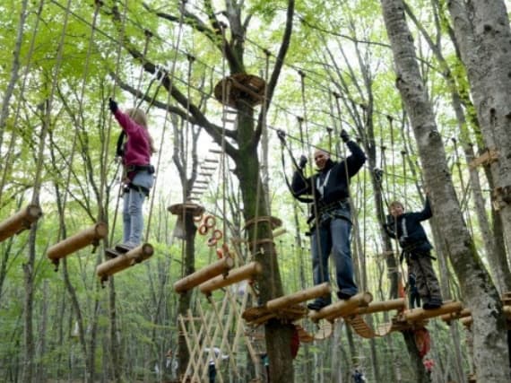 FOREST galeri görseli 1