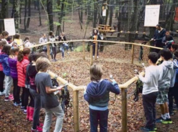 FOREST galeri görseli 2