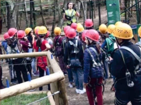 FOREST galeri görseli 6