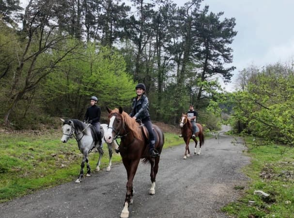 Polonez City galeri görseli 2
