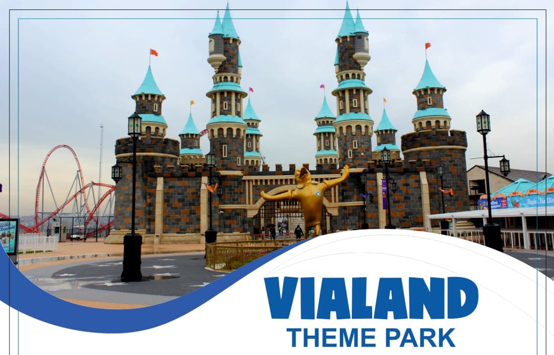 VIALAND kapak görseli