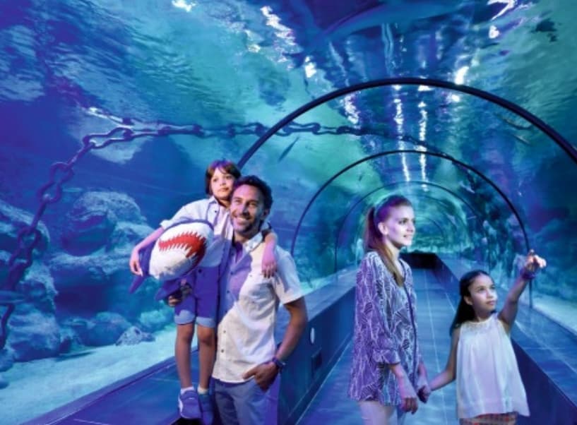 VIAPORT ZOO galeri görseli 2