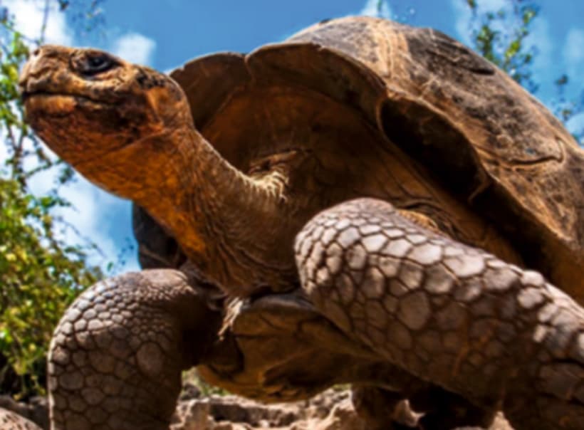 VIAPORT ZOO galeri görseli 6